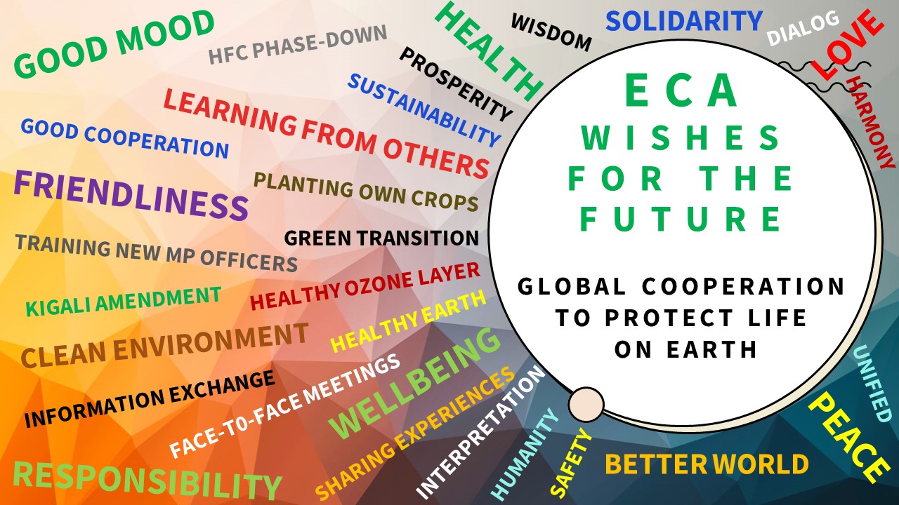 ECA poster
