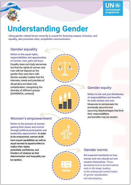 Understanding Gender
