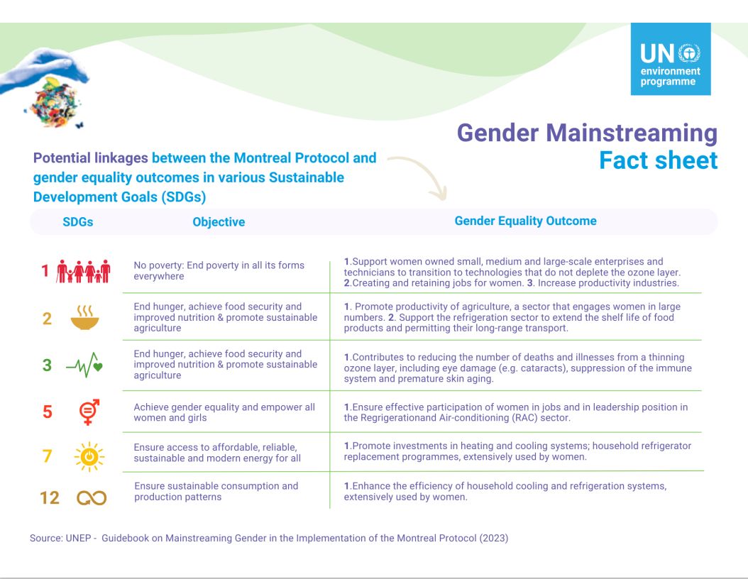 Potential linkages between MP and gender outcomes