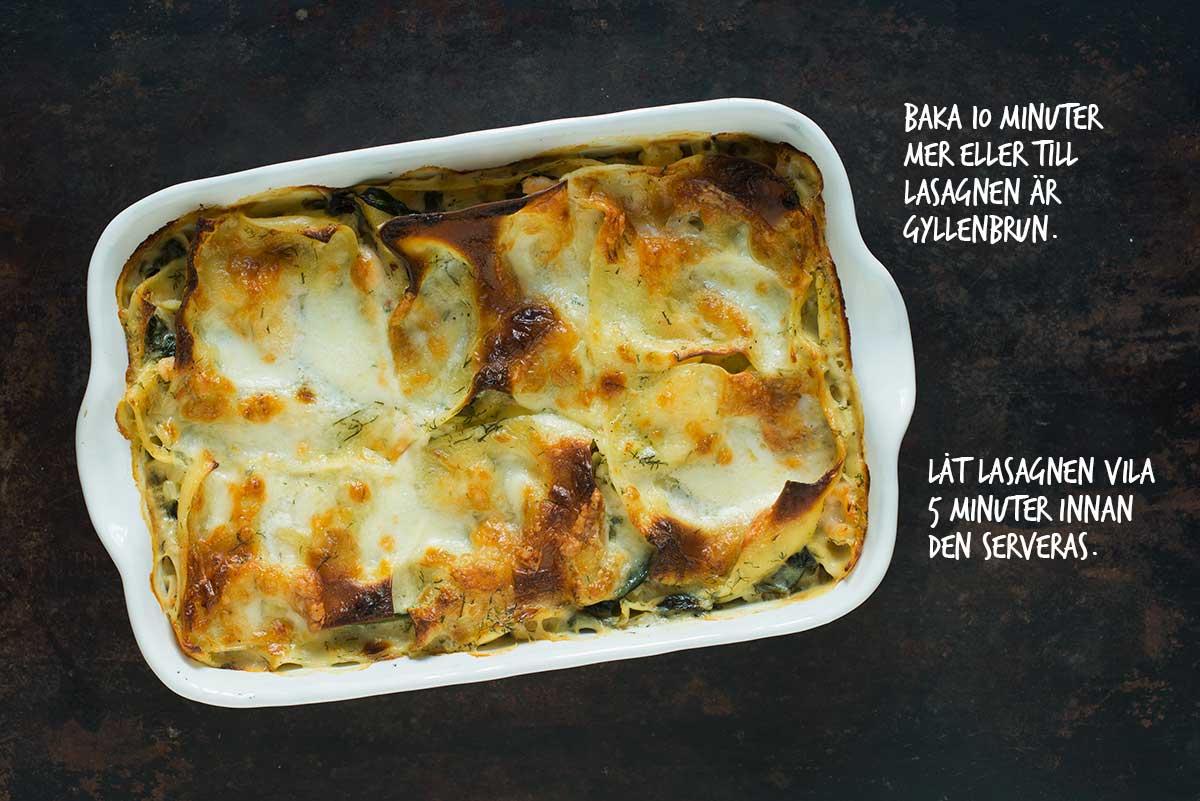 Recept: Lasagne med lax och räkor | Frk. Kräsen