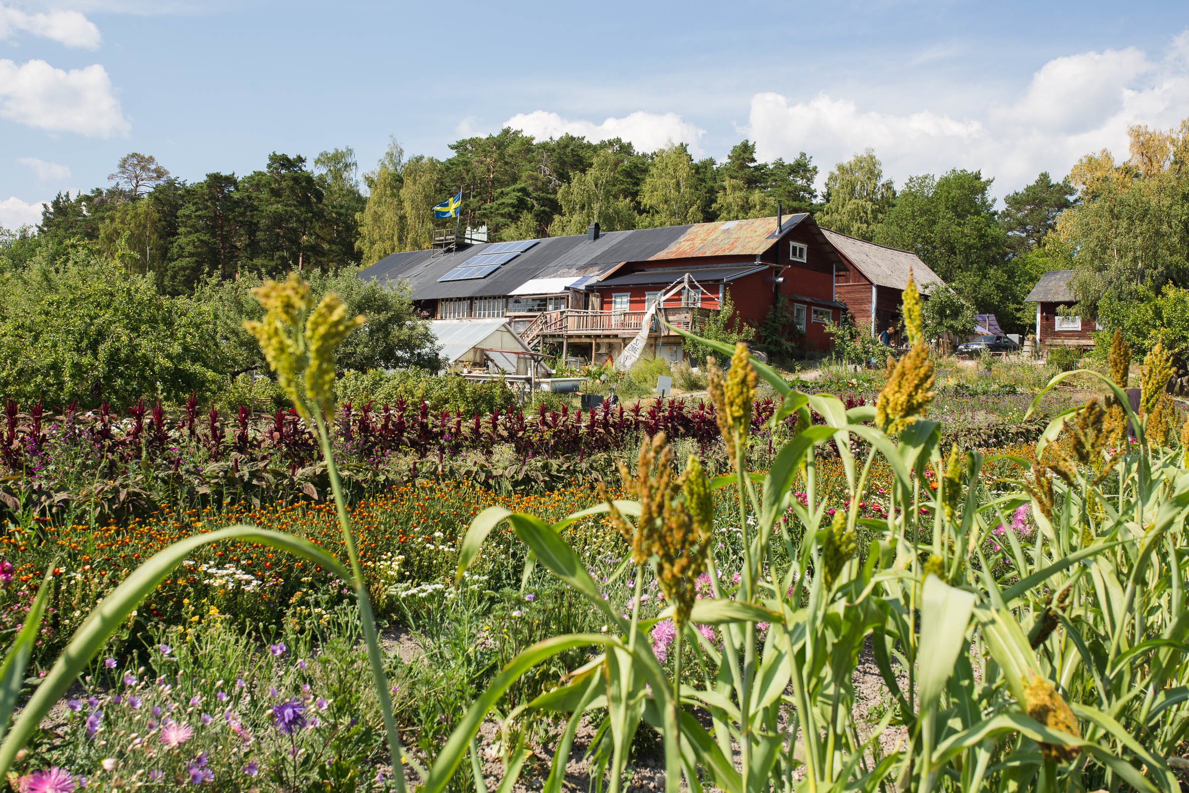 Utflykt till Rosenhill på Ekerö