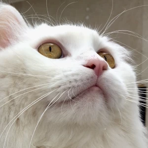 Imagen del perfil de Luisa Jiménez y Ramiro Calle