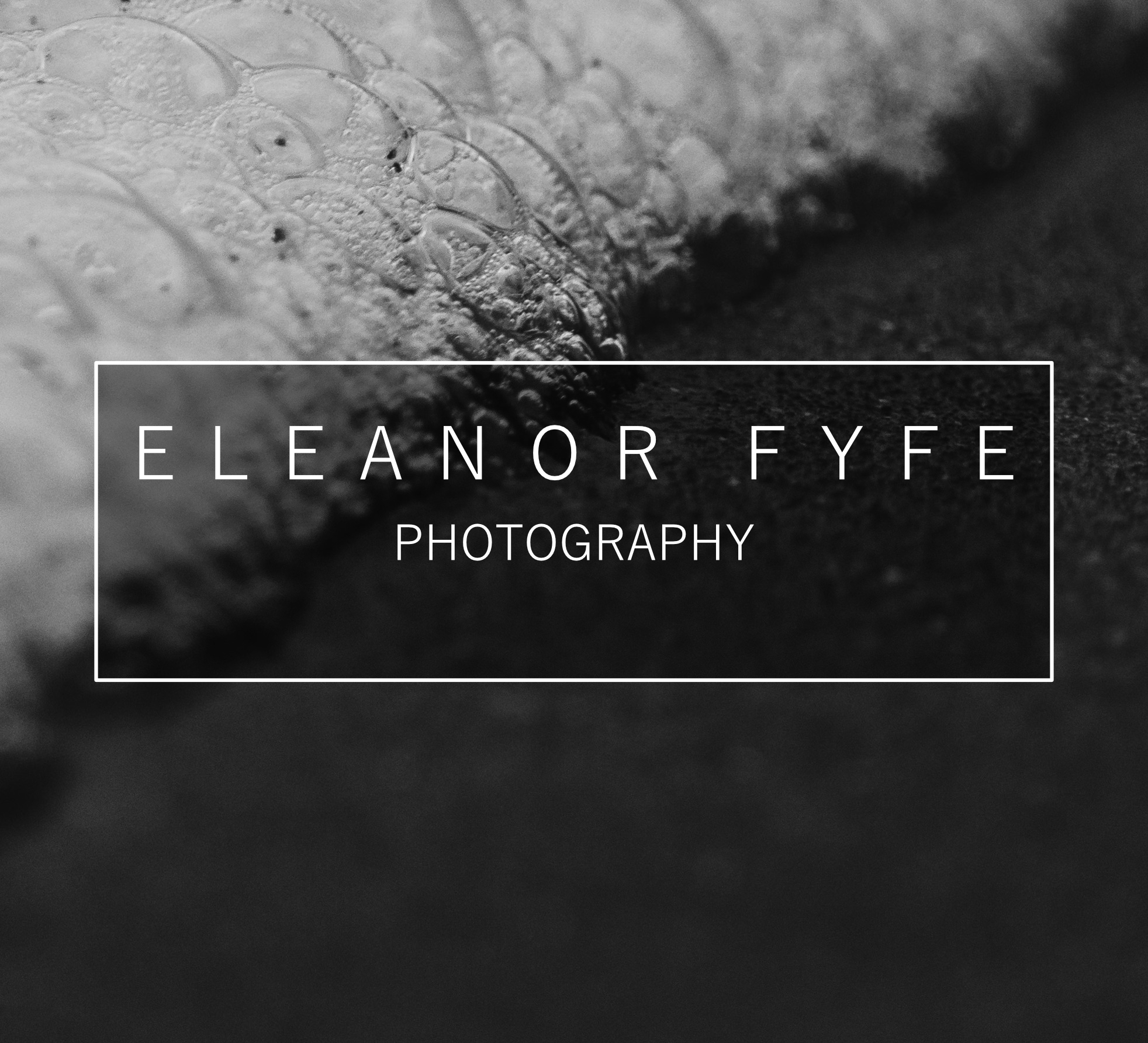 Eleanor Fyfe Photography