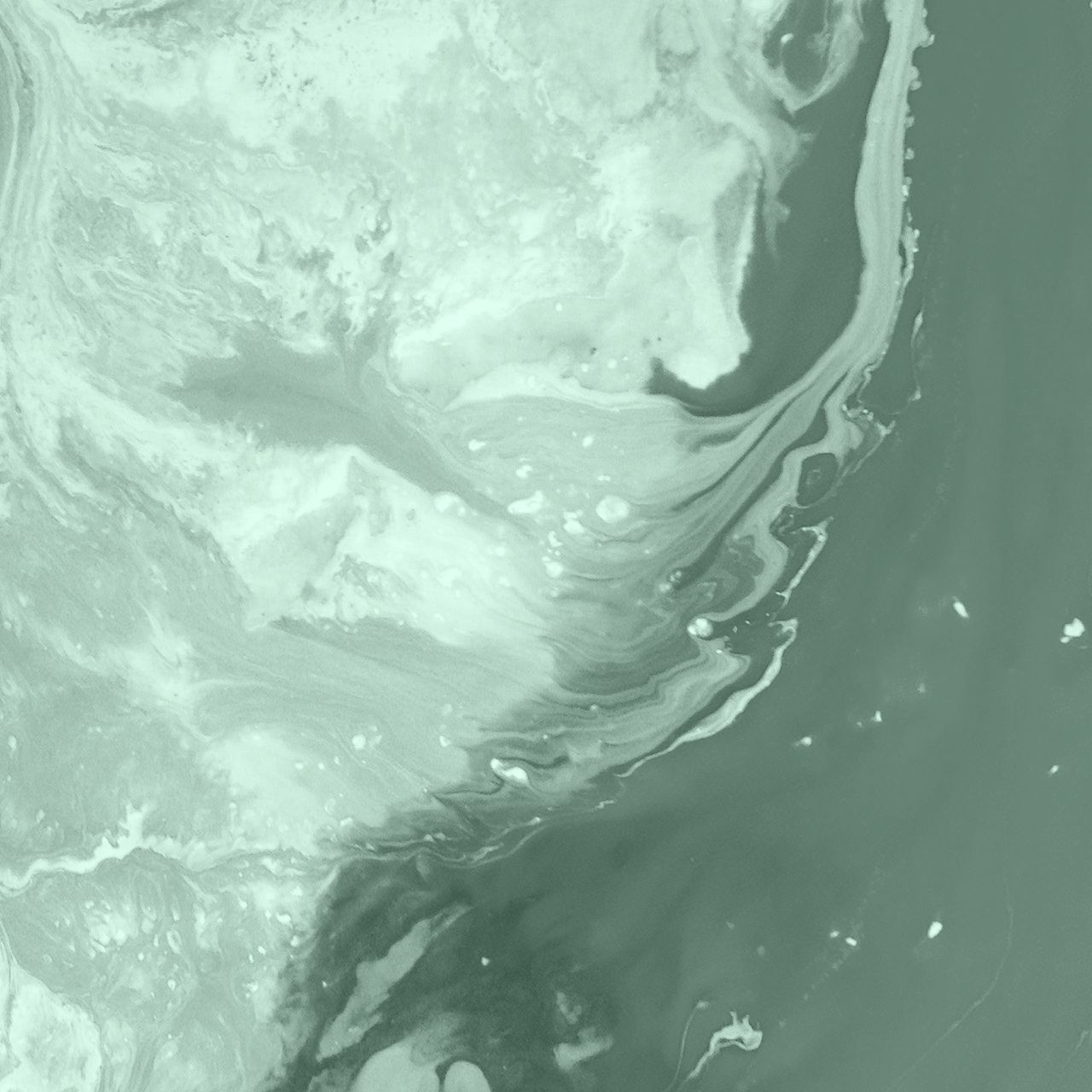 Ridaly Busca reseñas y testimonios de anteriores clientes de la agencia de diseño web Busca reseñas y testimonios de anteriores clientes de la agencia de diseño web