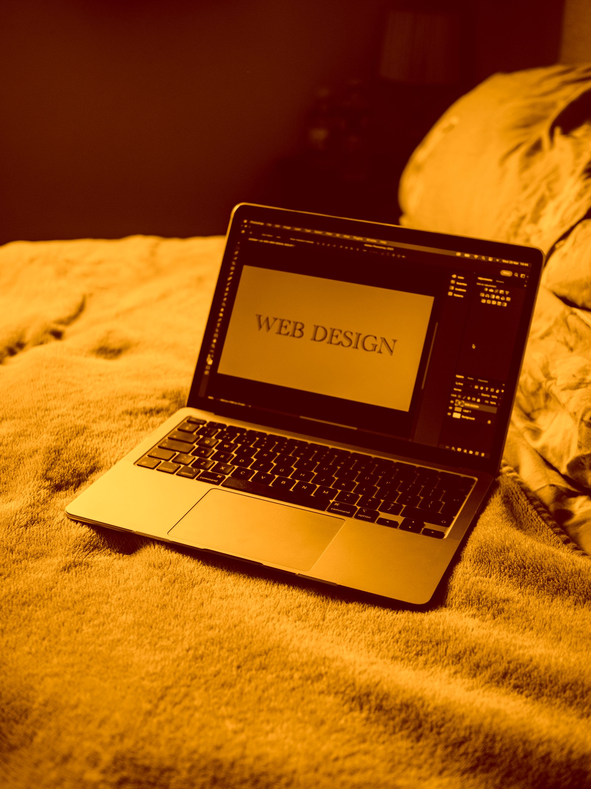 Conceptos básicos de diseño web