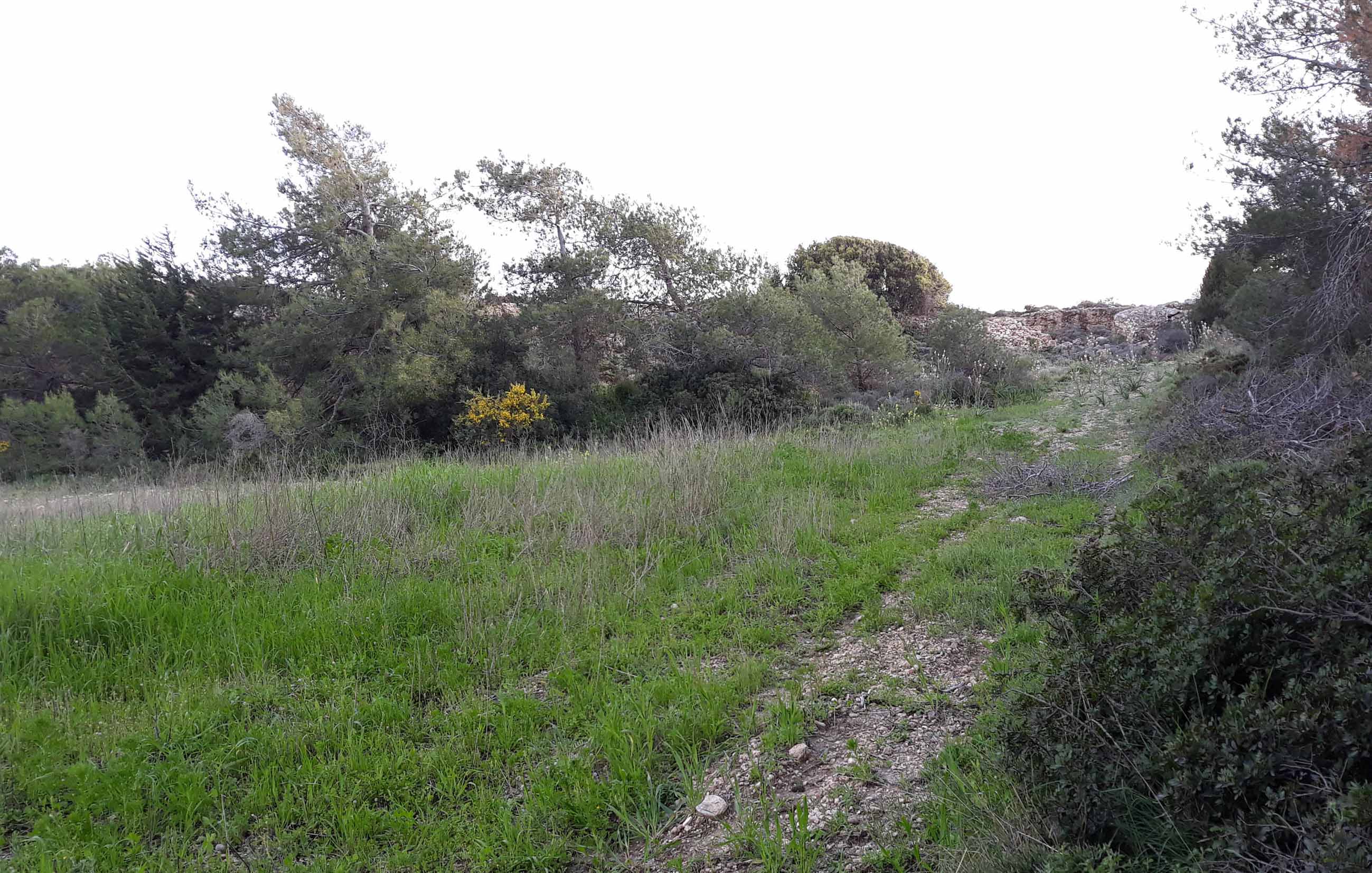 Έκταση 8067 τ.μ.