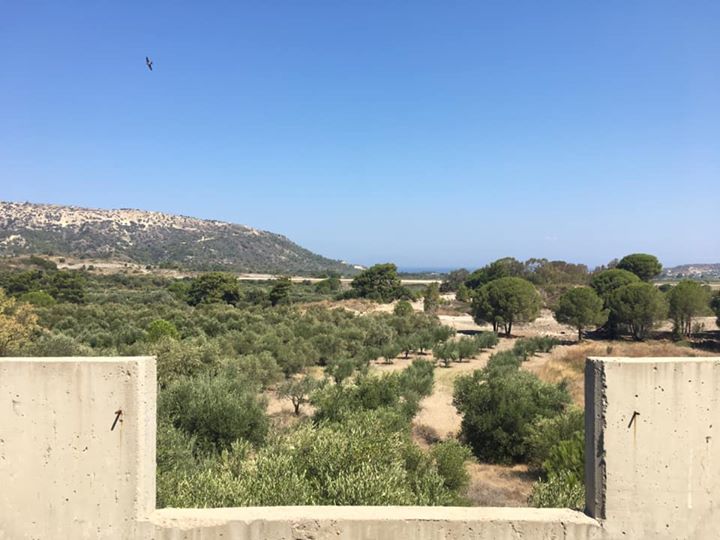 Μονοκατοικία 155 τ.μ. (3)