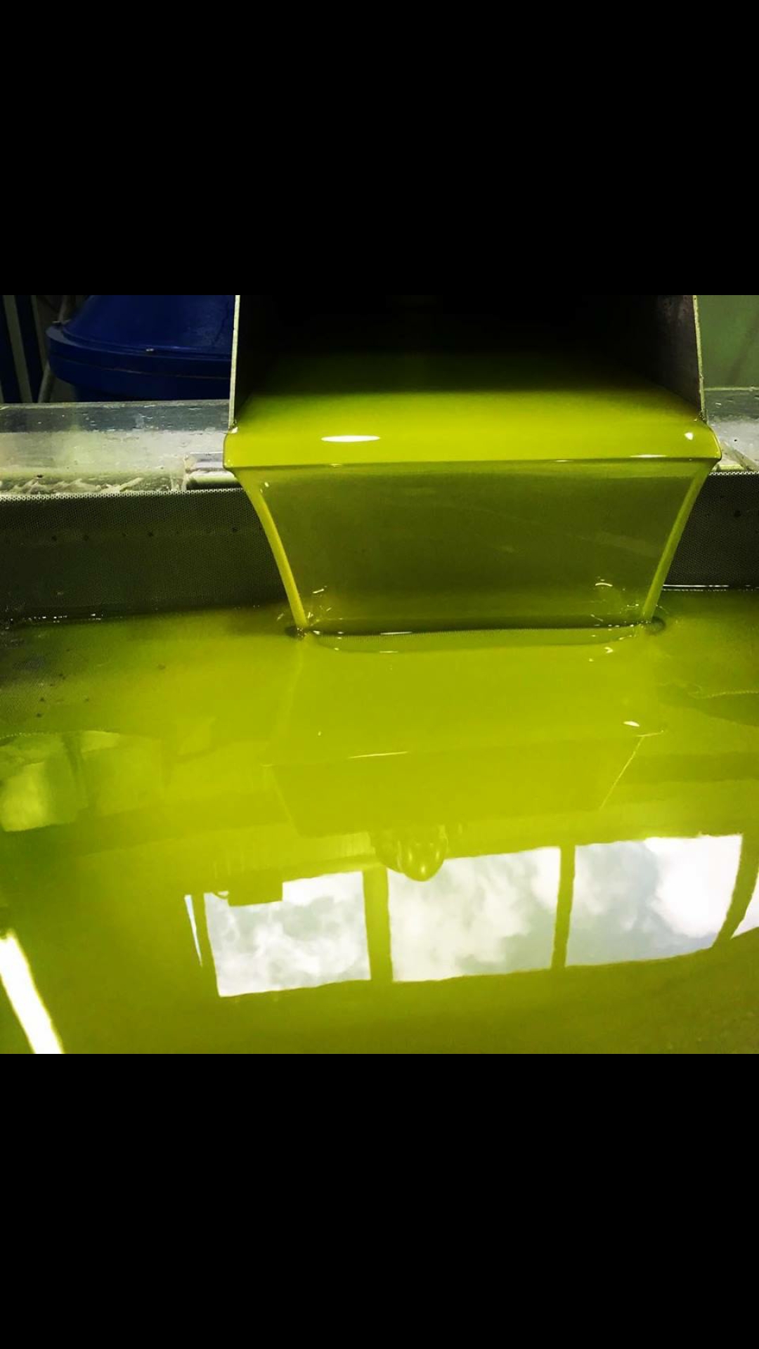 ΦΡΕΣΚΟ ΕΛΑΙΟΛΑΔΟ 