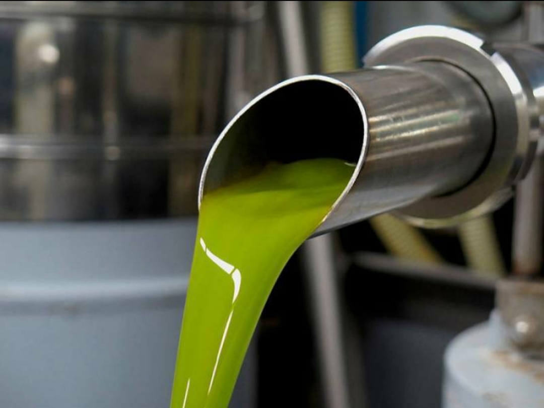 ΒΙΟΛΟΓΙΚΟ ΕΛΑΙΟΛΑΔΟ 