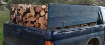 ΚΑΥΣΟΞΥΛΑ ΕΛΙΑΣ 