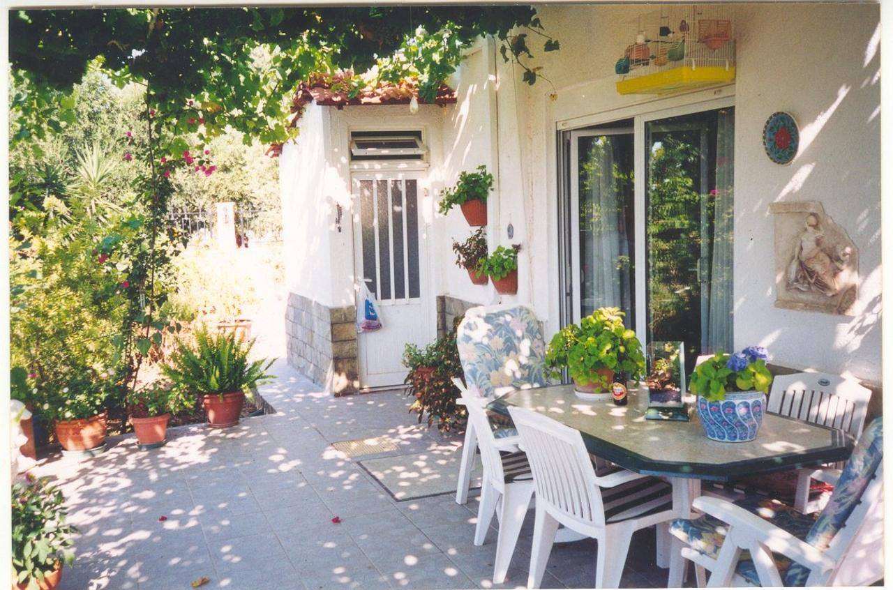 Μεζονέτα  (9)