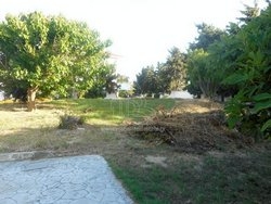 Οικόπεδο  (3)