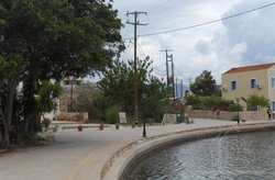 Οικόπεδο  (5)