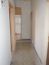 Πολυκατοικία  (5)