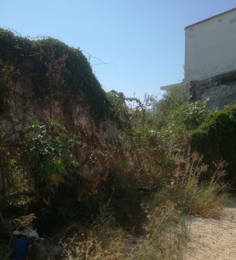 ΟΙΚΟΠΕΔΟ 287 τ.μ.