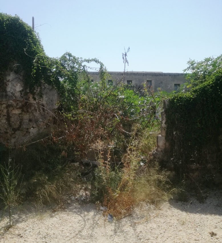 ΟΙΚΟΠΕΔΟ 287 τ.μ. (2)