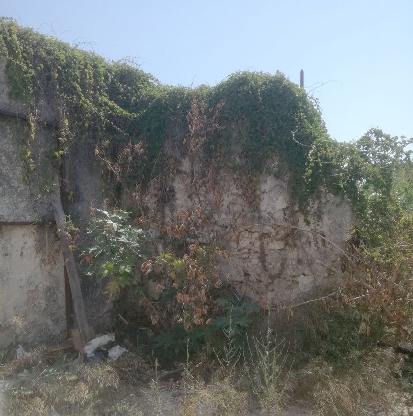 ΟΙΚΟΠΕΔΟ 287 τ.μ. (3)