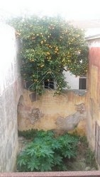 Νεοκλασσικό Κτήριο 