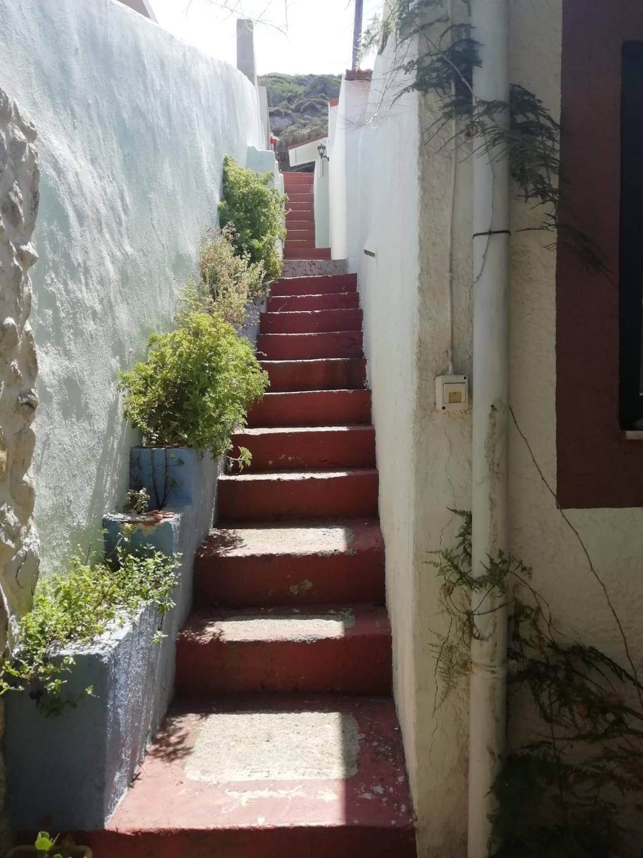 Διαμέρισμα  (8)