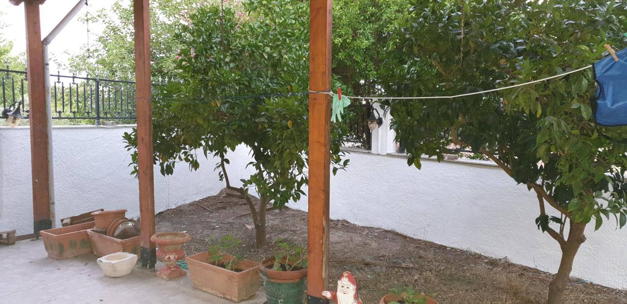 Μεζονέτα  (19)