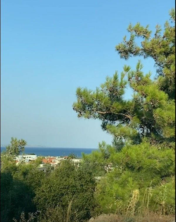 ΟΙΚΟΠΕΔΟ 200 τ.μ.