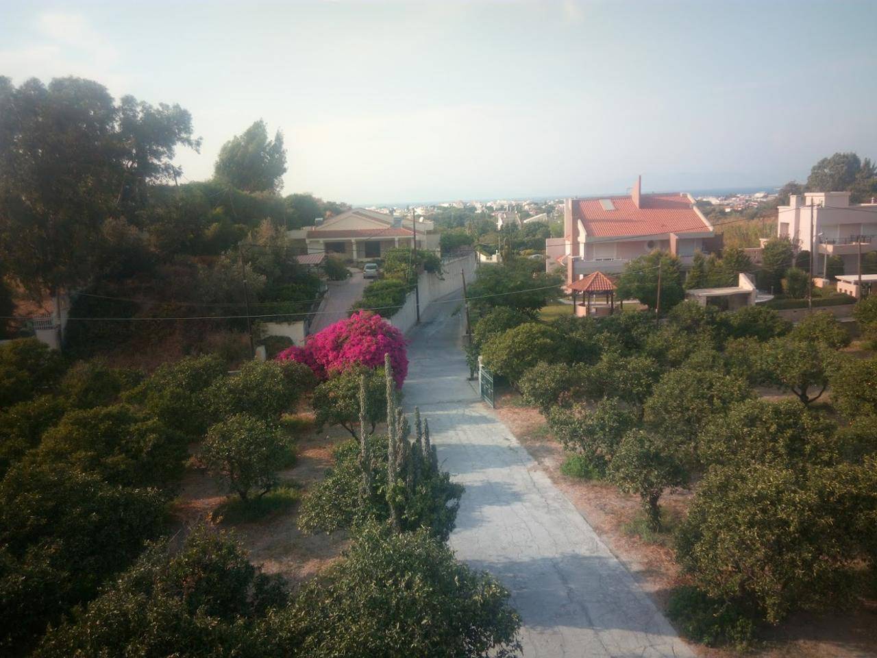 Διαμέρισμα  (4)