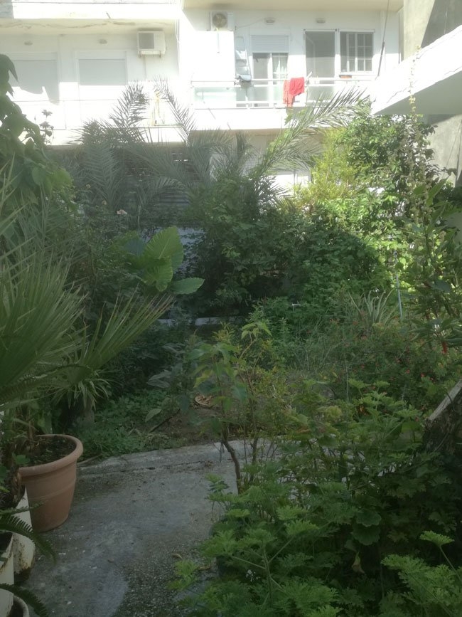 ΜΟΝΟΚΑΤΟΙΚΙΑ 480 τ.μ. (2)