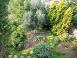 Μονοκατοικία  (4)