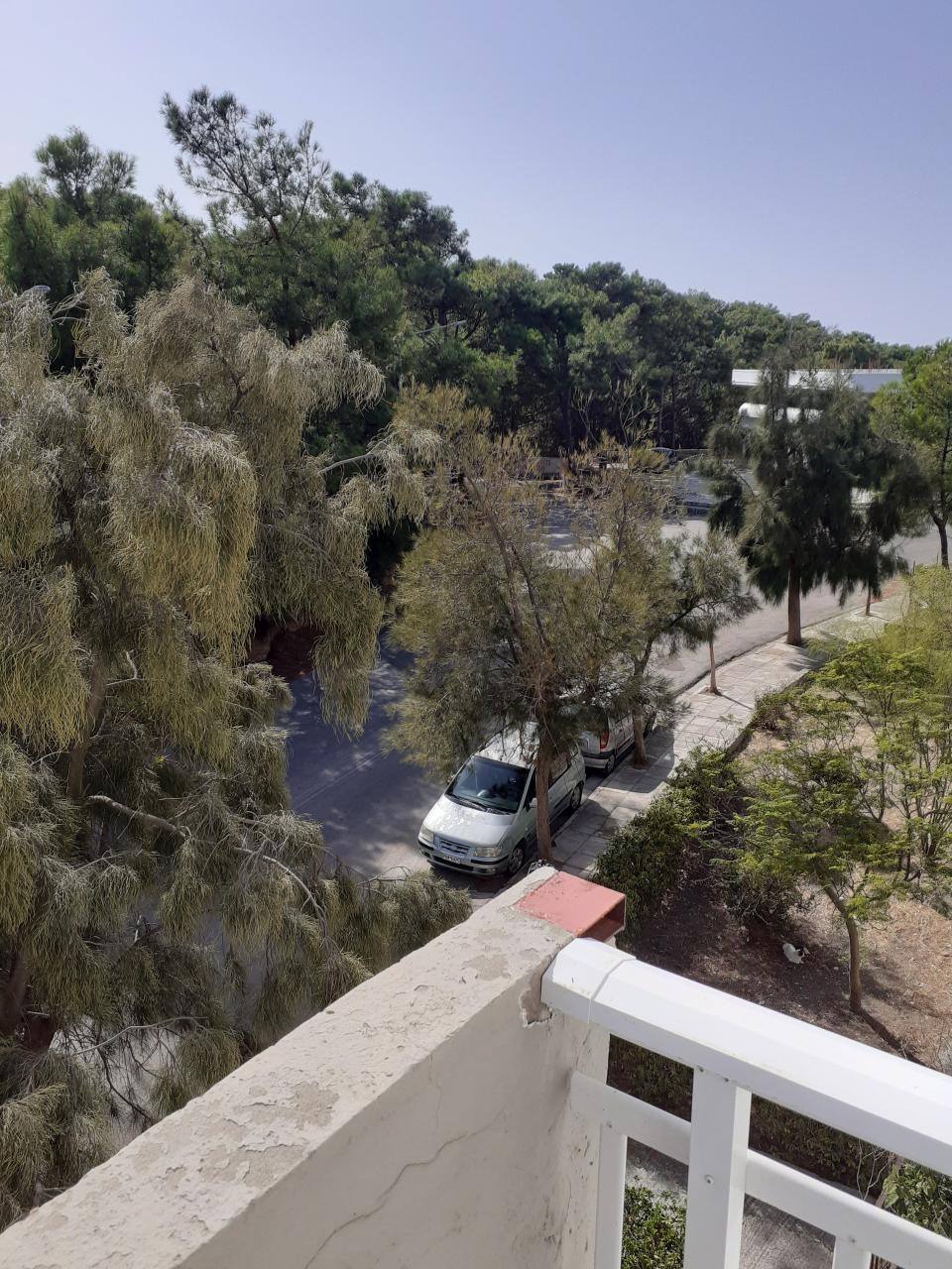 Διαμέρισμα  (15)