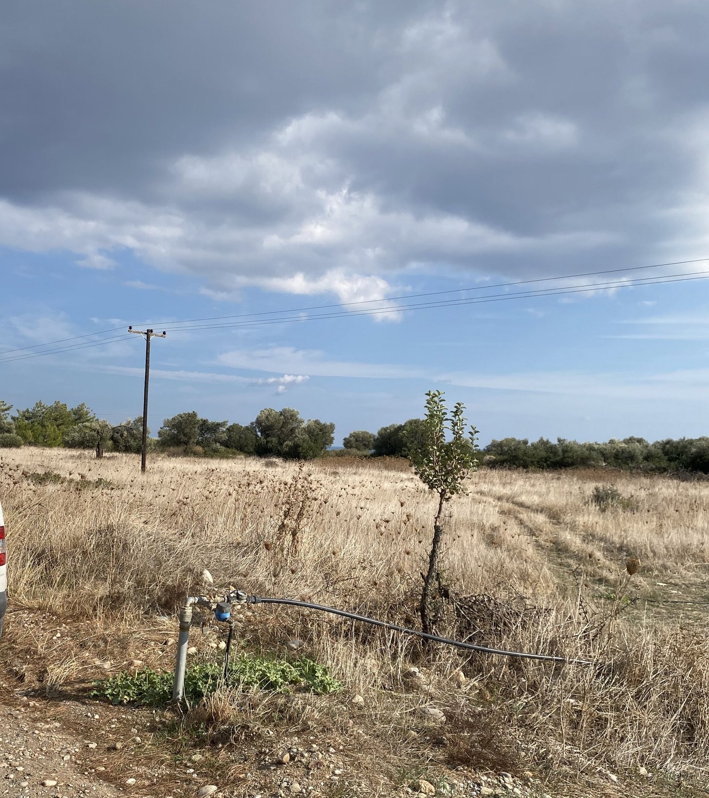 ΑΓΡΟΤΕΜΑΧΙΟ 3800 τ.μ.