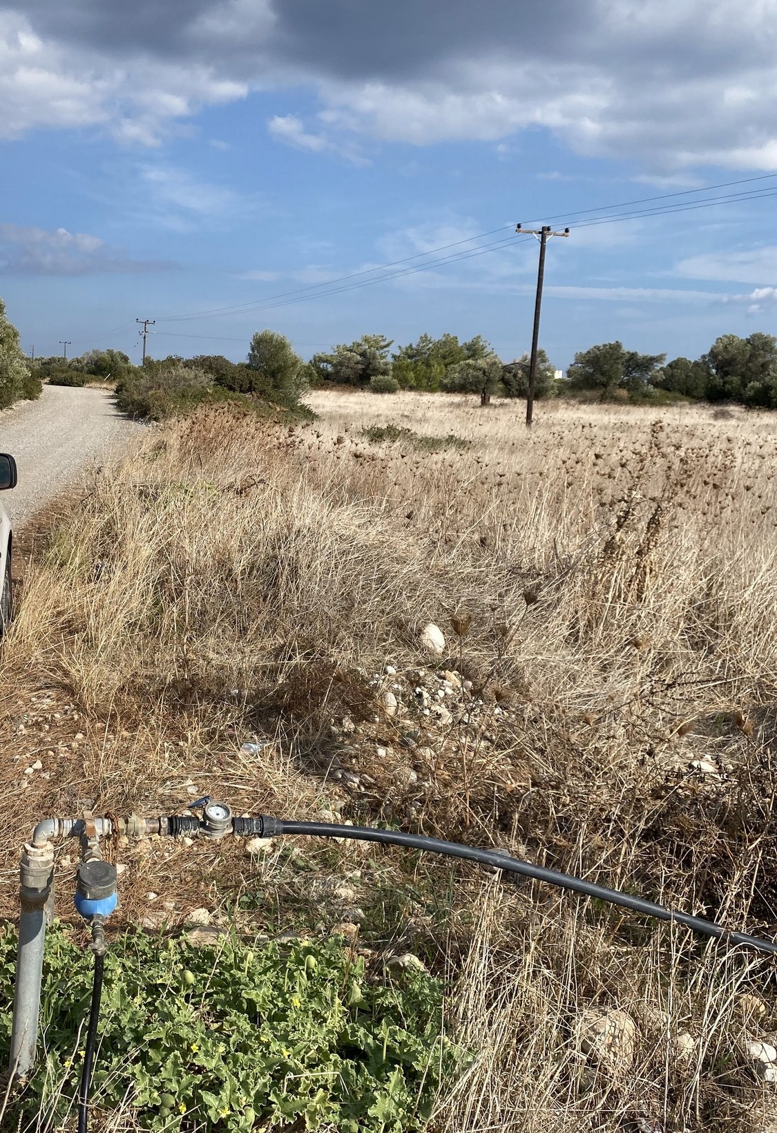 ΑΓΡΟΤΕΜΑΧΙΟ 3800 τ.μ. (4)