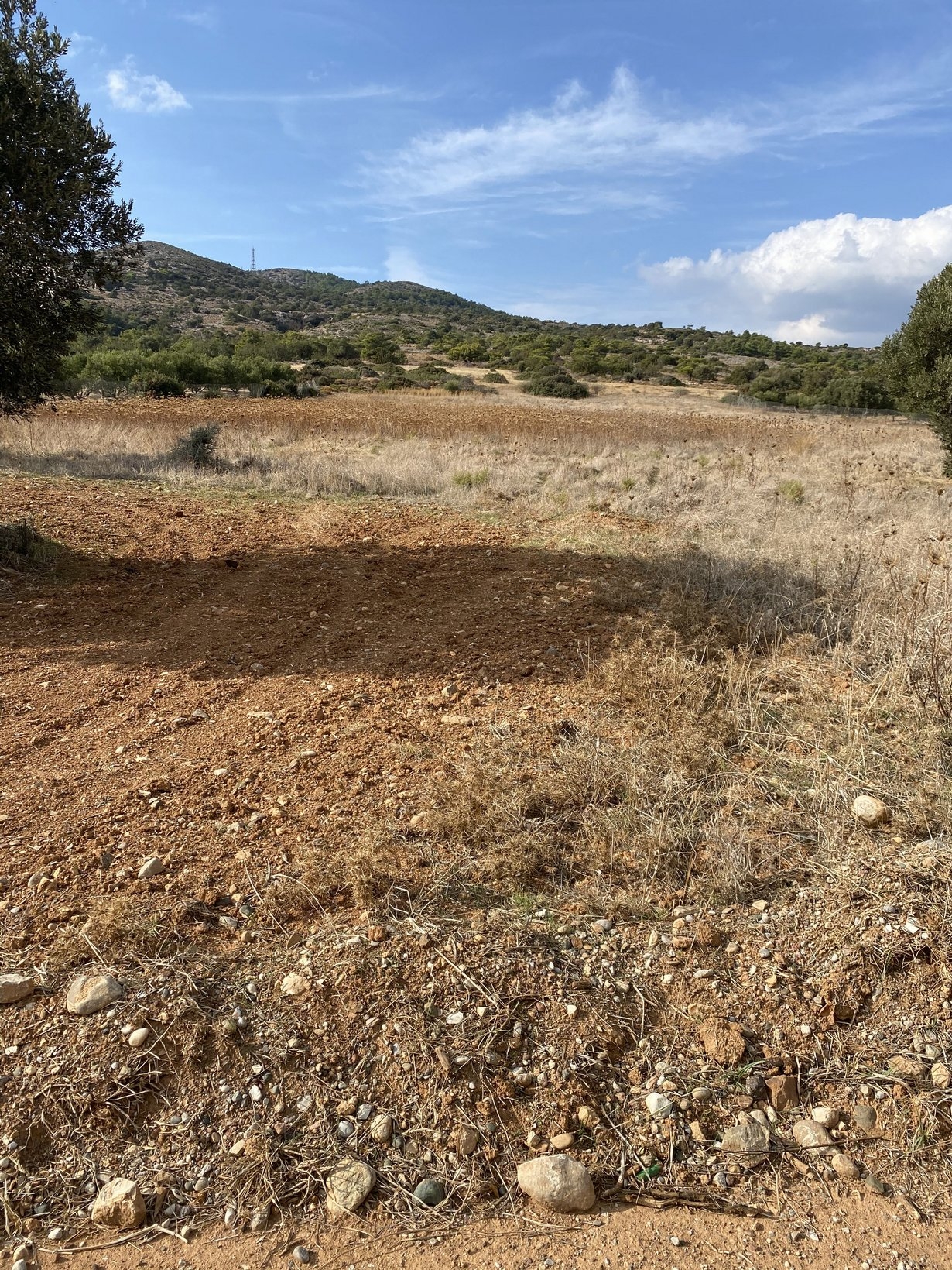 ΑΓΡΟΤΕΜΑΧΙΟ 4700 τ.μ.