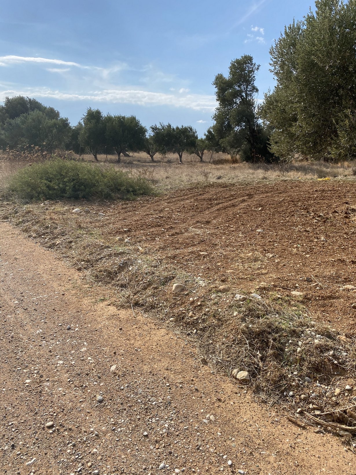 ΑΓΡΟΤΕΜΑΧΙΟ 4700 τ.μ. (3)