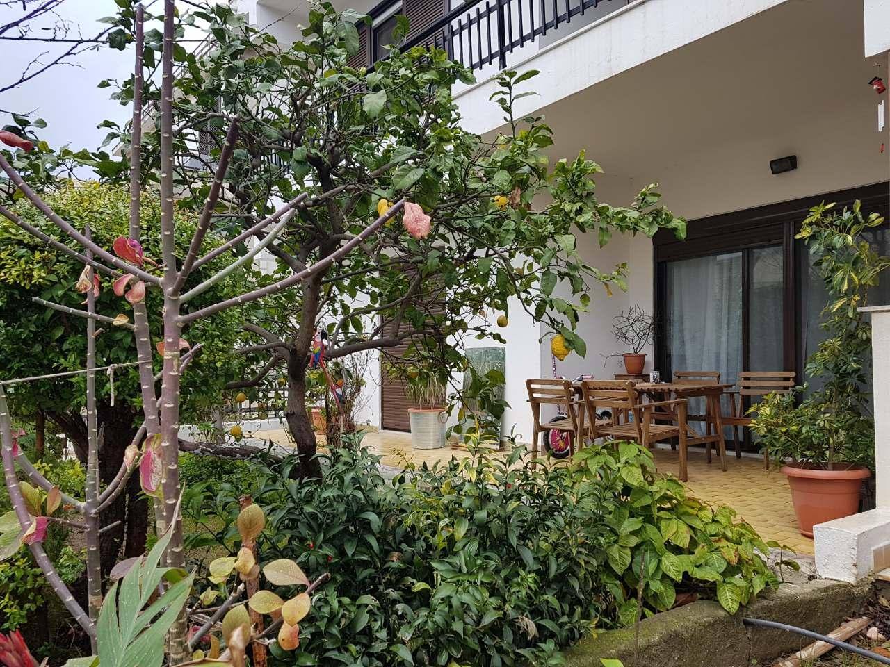 Διαμέρισμα  (2)