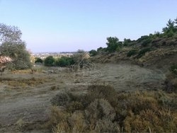 Οικόπεδο  (2)