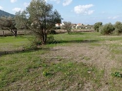 Οικόπεδο  (2)