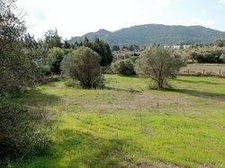 Οικόπεδο  (3)