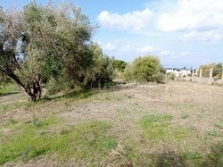 Οικόπεδο  (4)