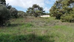 Οικόπεδο  (3)