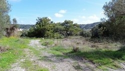 Οικόπεδο  (4)