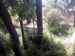 Παλαιά Κατοικία  (5)