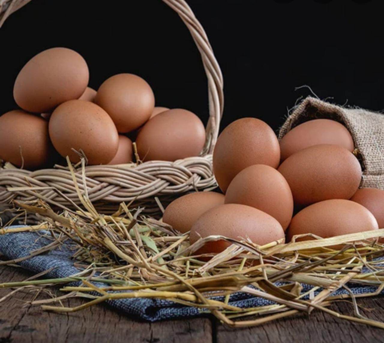 Φρέσκα βιολογικά αυγά 