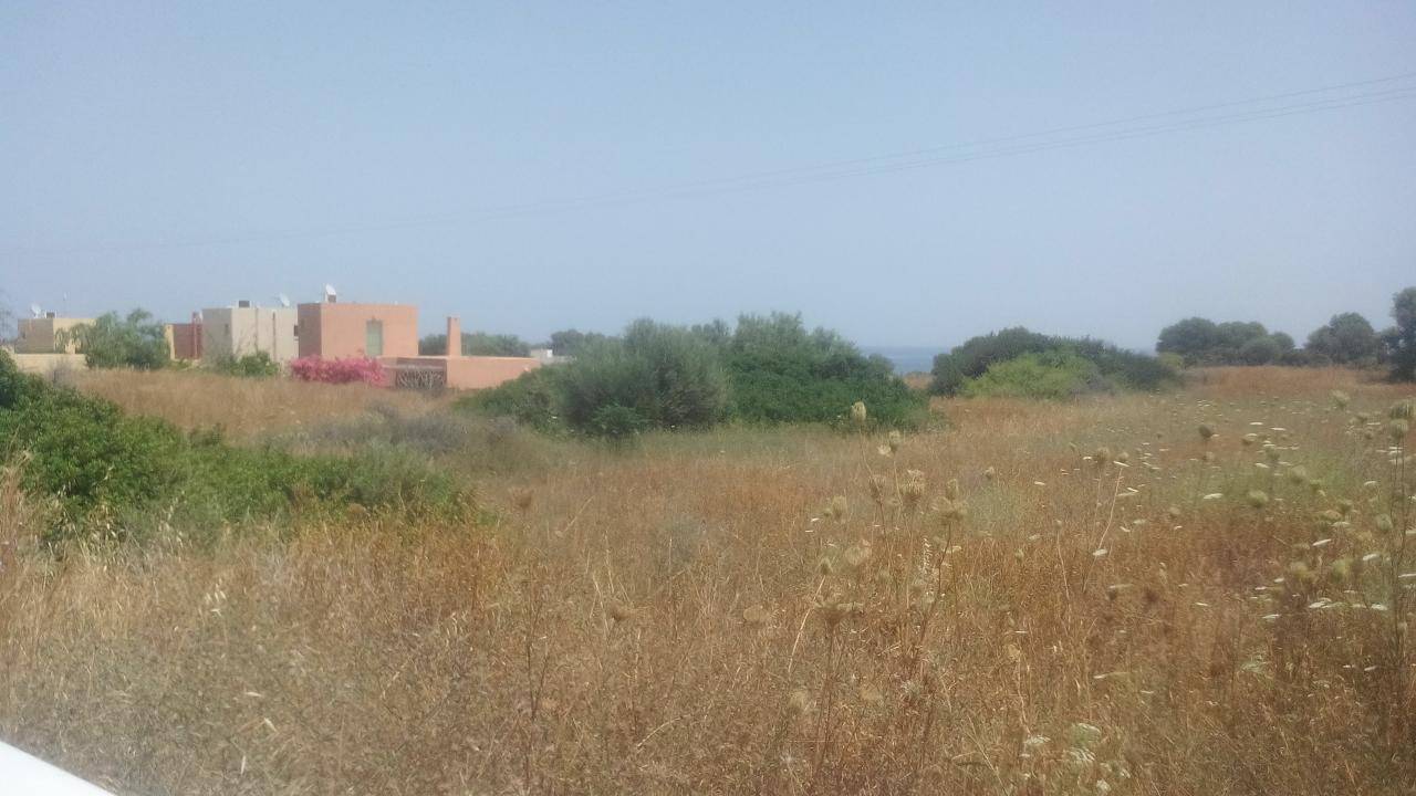 Αγροτεμάχιο  (2)