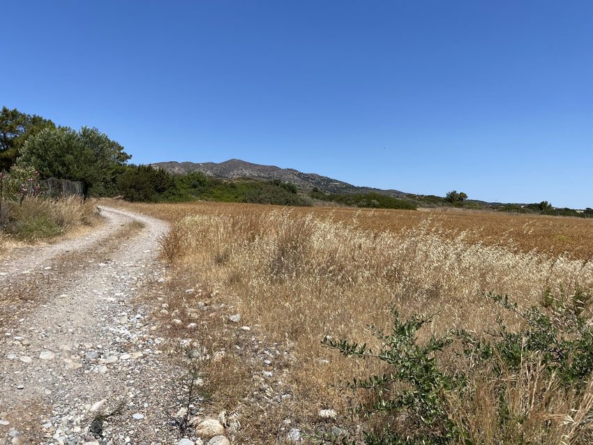 ΑΓΡΟΤΕΜΑΧΙΟ 1405 τ.μ.