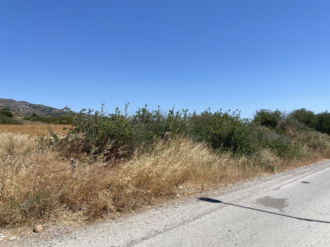 ΑΓΡΟΤΕΜΑΧΙΟ 1405 τ.μ. (2)