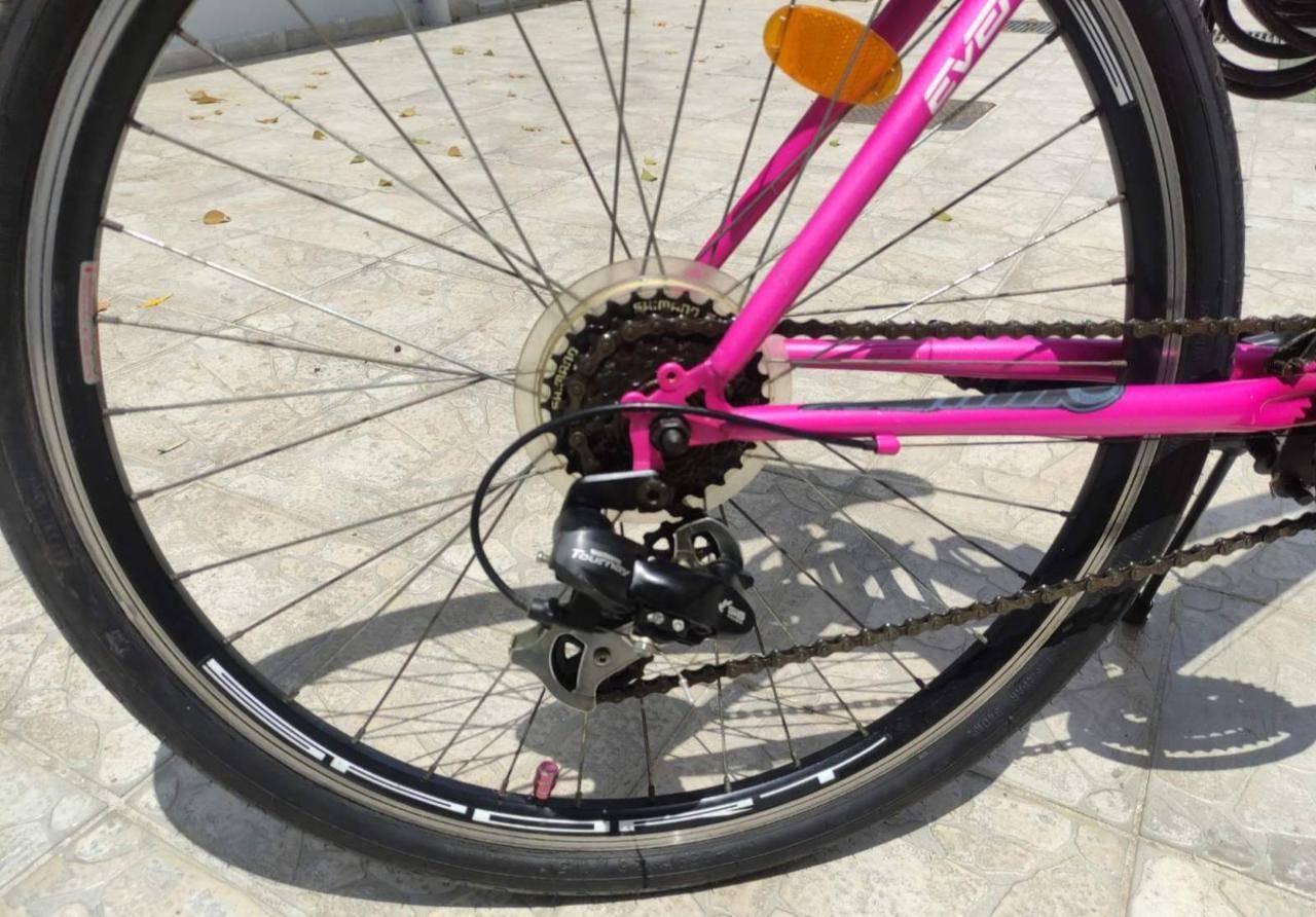 Πωλείται ποδήλατο (2)