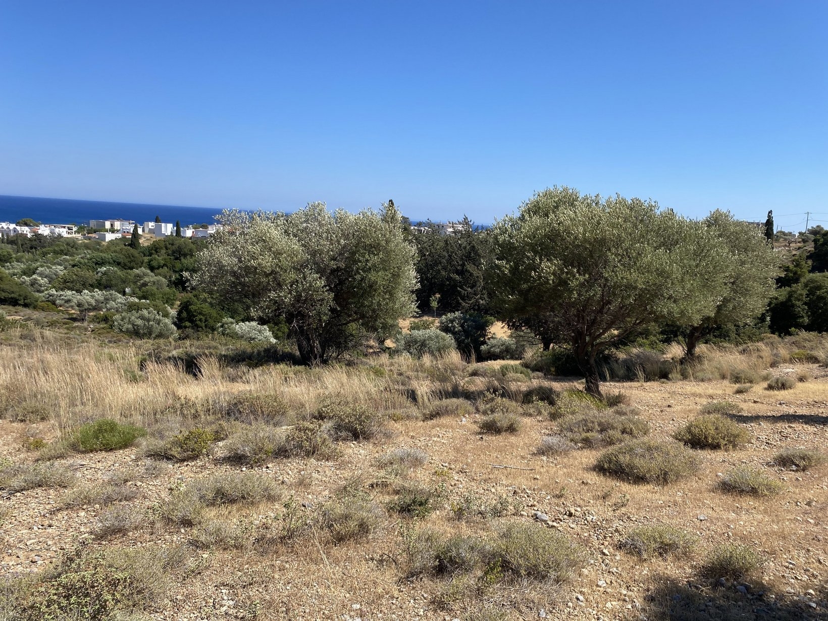 ΑΓΡΟΤΕΜΑΧΙΟ 3000 τ.μ.