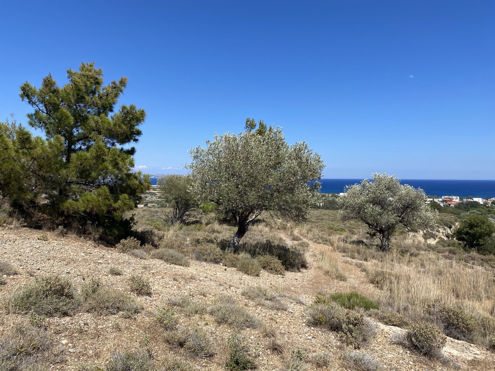 ΑΓΡΟΤΕΜΑΧΙΟ 3000 τ.μ. (4)