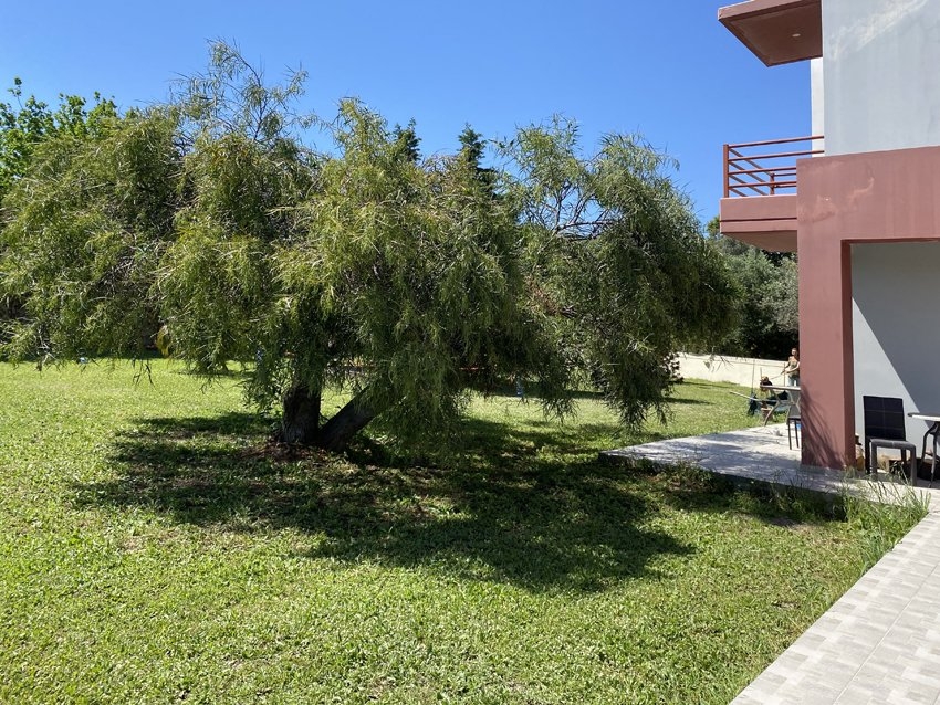 ΜΟΝΟΚΑΤΟΙΚΙΑ 200 τ.μ. (3)