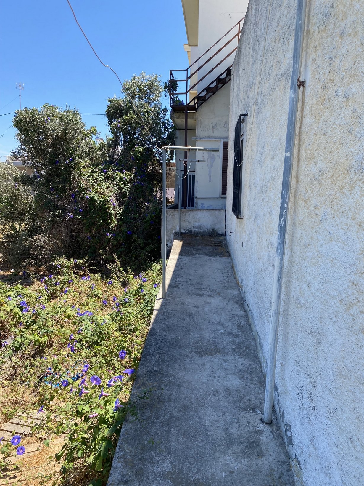 ΜΟΝΟΚΑΤΟΙΚΙΑ 100 τ.μ. (3)